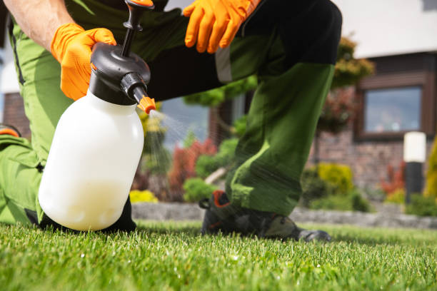 Best Pest Removal Services  in Clearwater, KS