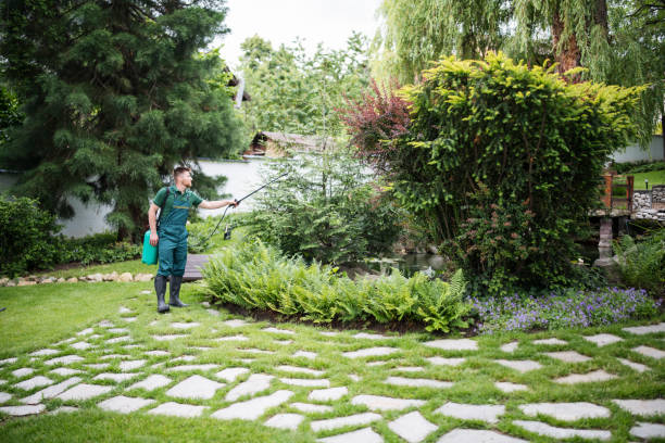 Best Ant Control Services  in Clearwater, KS