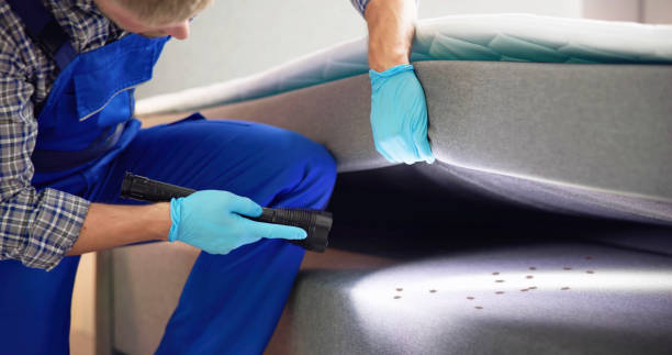 Professional Pest Control in Clearwater, KS