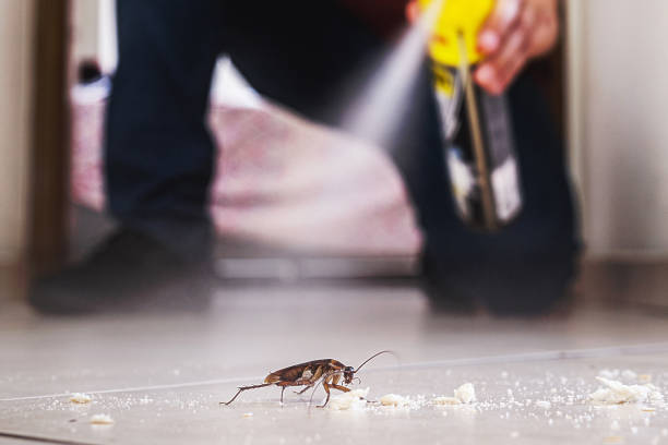 Best Pest Control Near Me in Clearwater, KS